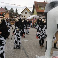 Umzug Schergässler